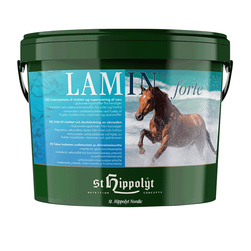 Lamin Forte 3kg