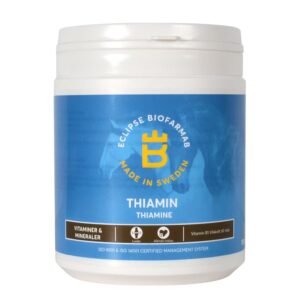 Thiamin 1 kg