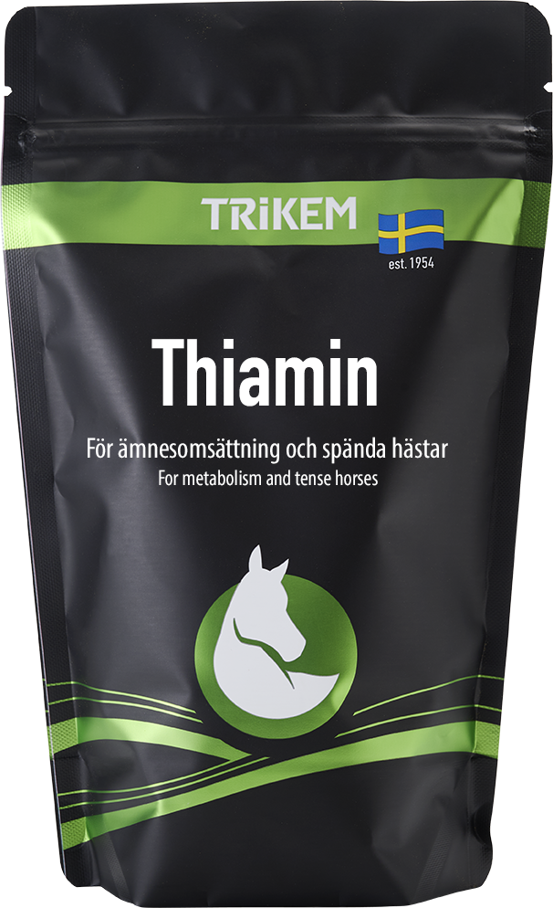 TRIKEM Thiamin 500g