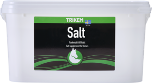 Salt 6000 g