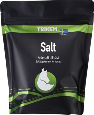 Salt 1500 g