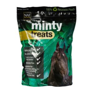 Minty Hästgodis 1kg